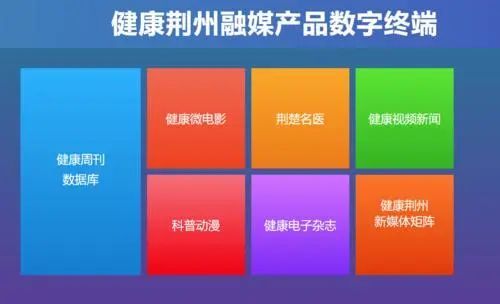 荆州日报荣获全国信息消费应用创新奖，推动数字文化创意应用服务迈向新高度