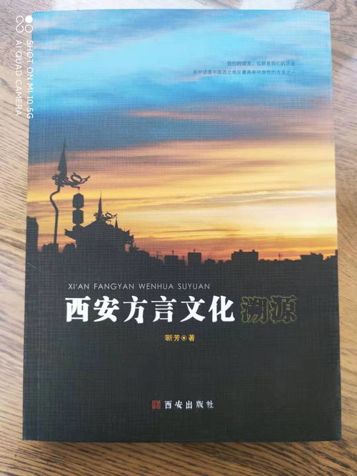 咥下数，芒背 西安方言文化溯源与数字创意新篇